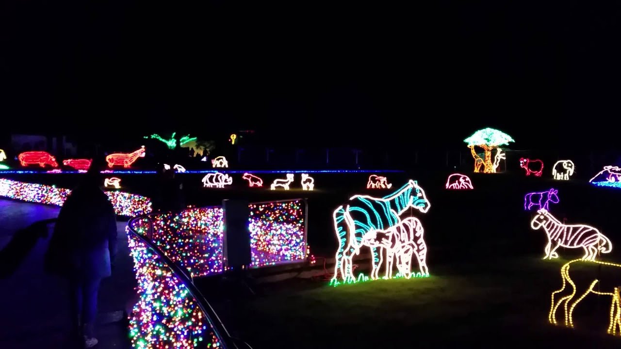 Zoo Lights at the Oregon Zoo African Safari YouTube