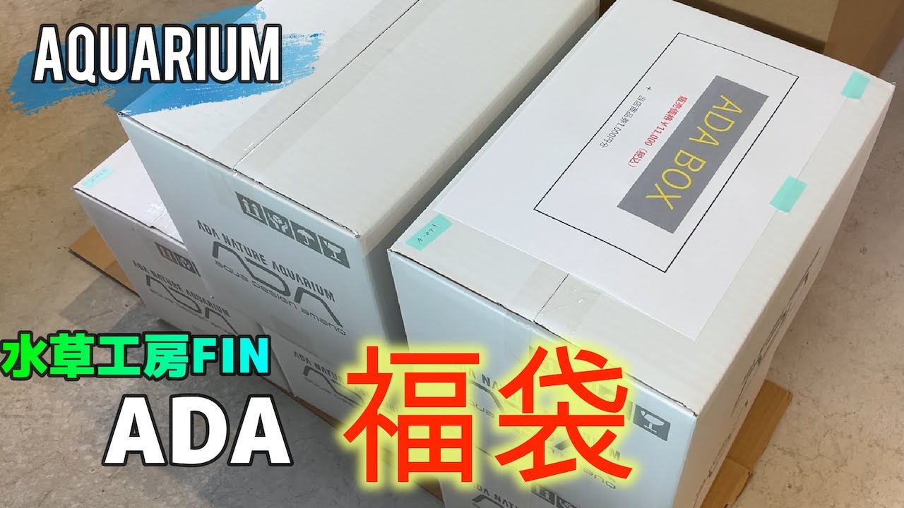 aquarium]中身が気になるラッキーボックス！25,000円相当のADA福袋購入