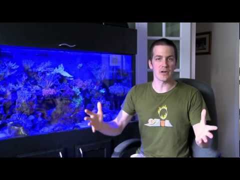 Mr. Saltwater Tank TV Friday AM Quick Tip #37: Grease Me Up!