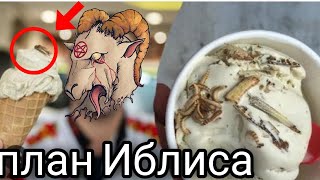 Насекомые больше чем еда...!(УНИЖЕНИЕ ЧЕЛОВЕЧЕСТВА)