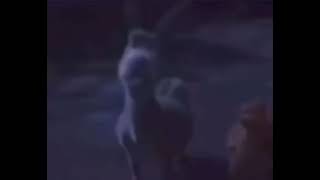 What are you talking about cracker Net Worth