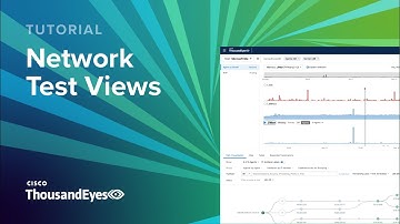 Using Network Test Views