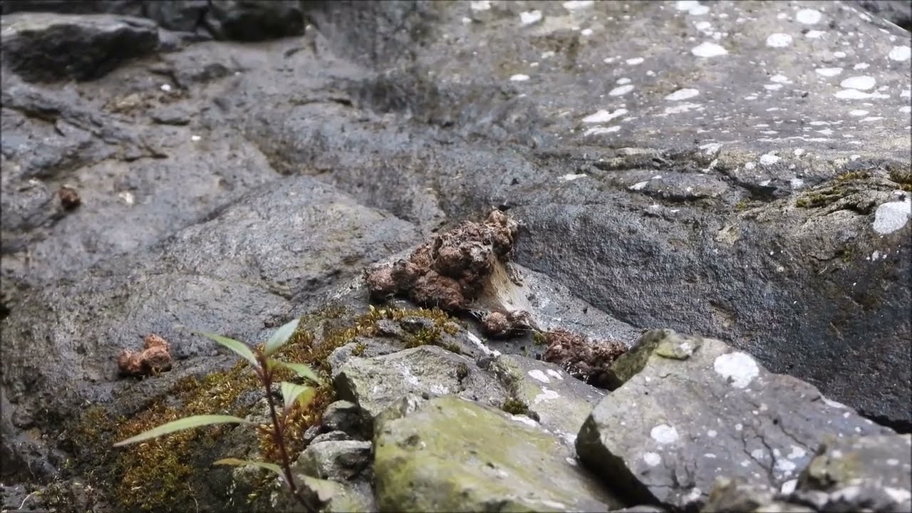 Моя камера простояла в этой огромной пещере полтора года.
