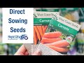 Get growing series direct sowing seeds    royal city nursery