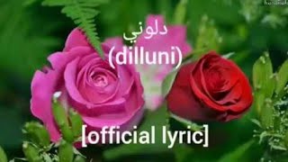 Dilluni-versi shalawat al-habsyi||official lyric video