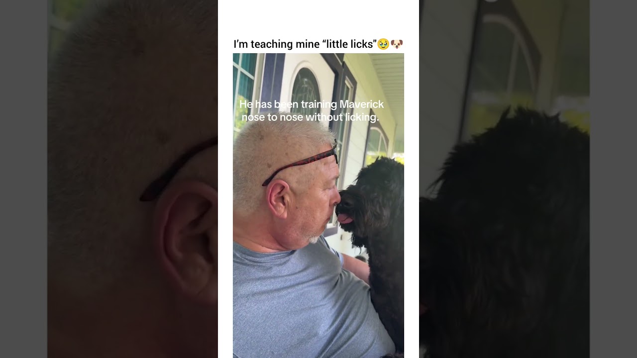 He said “poppa I want you to taste the p00p I just ate” #dog #dogshorts #dogvideos #funny