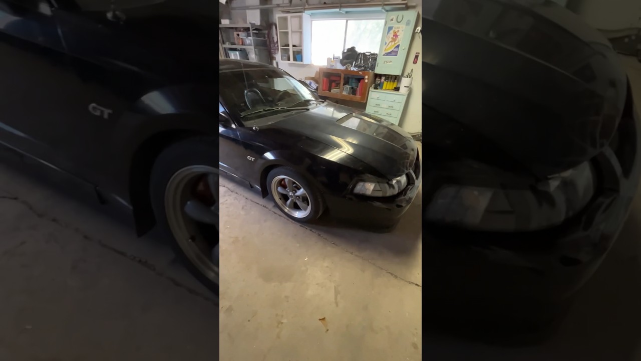 Replacement Fuel Door for the Drug Mule Bullitt