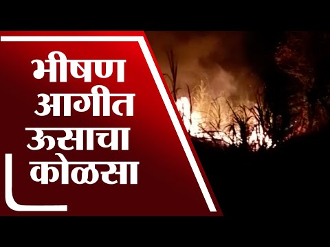 भीषण आगीत 2 एकर शेतातील ऊस जळून खाक, Aurangabad मधील घटना | Sugarcane Fire |