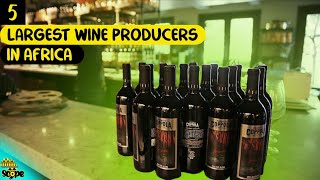 Top 5 wine producers and exporters in Africa