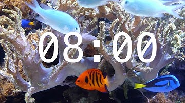 8 Minute Aquarium Countdown Timer |  Ocean Timer | Fish Timer | Relaxing Music