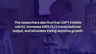 Roles Of Usp1 In Ewing Sarcoma Genes And Cancer