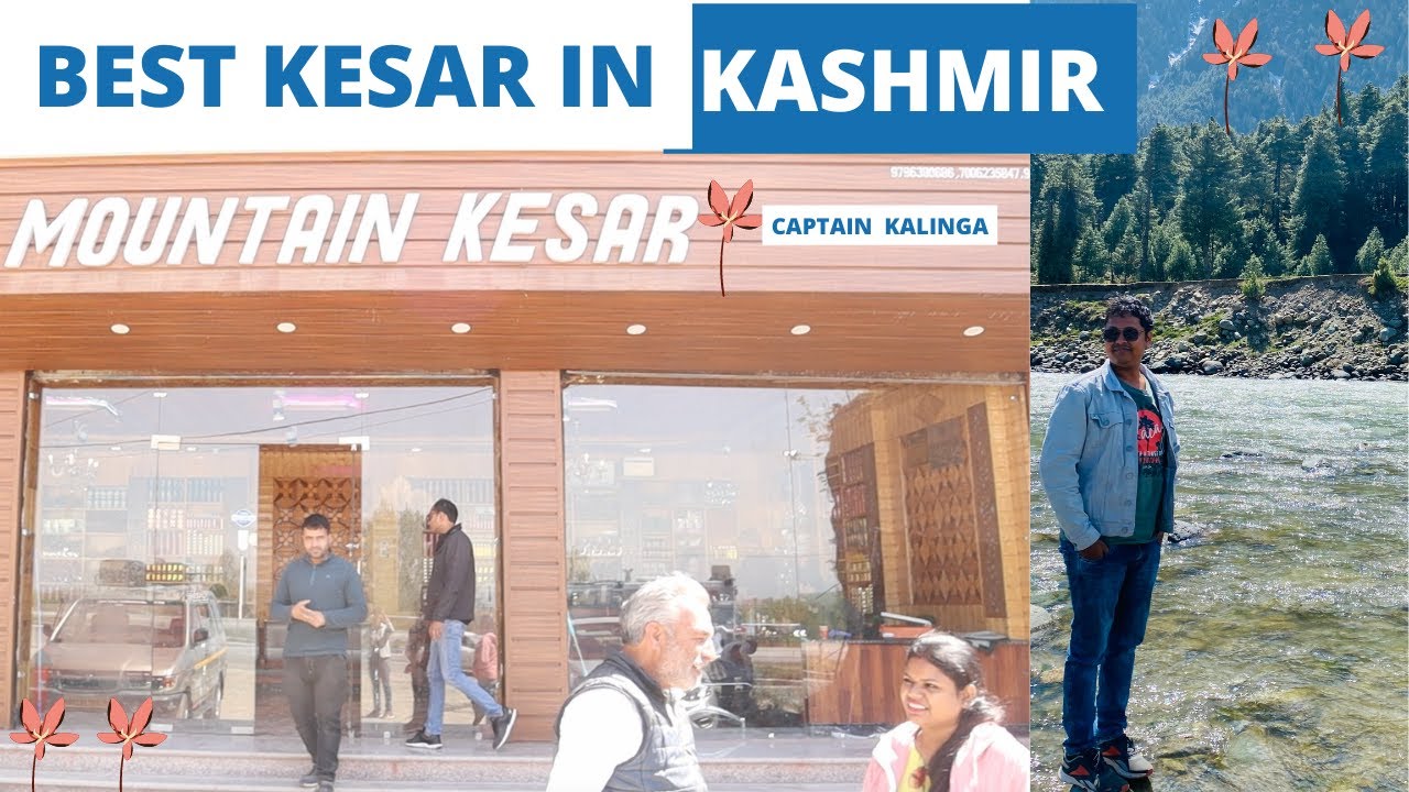 Kashmiri Kesar (Saffron) | Kashmir | Saffron Price | CAPTAIN KALINGA | Pampore Kesar |mountain kesar