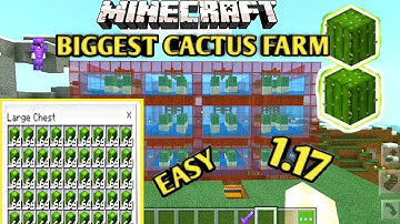 SIMPLE 1.17 AUTOMATIC CACTUS FARM TUTORIAL in Minecraft Bedrock (MCPE/Xbox/PS4/Nintendo Switch/PC)
