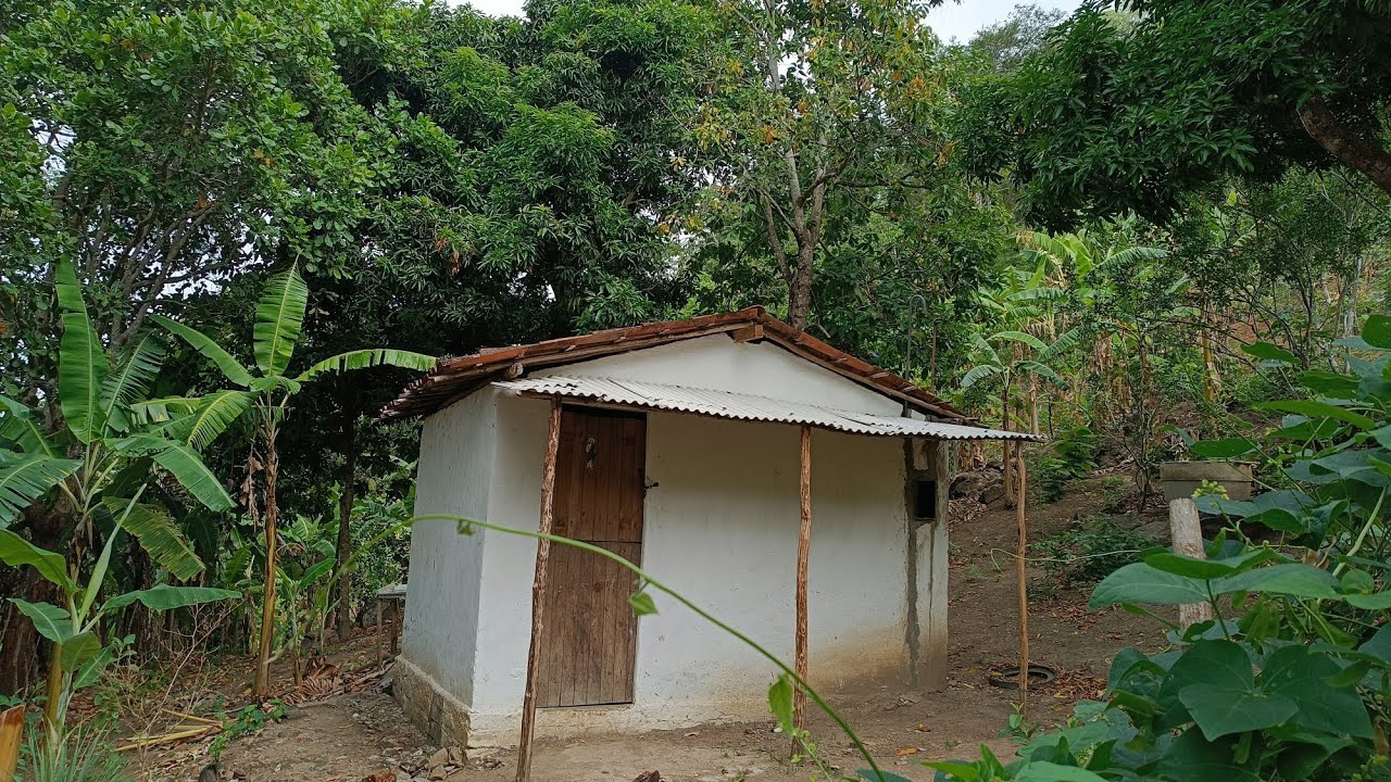 Vende-se uma mini chácara Santa fé União dos Palmares Alagoas 1000 metro quadrado $60.000 