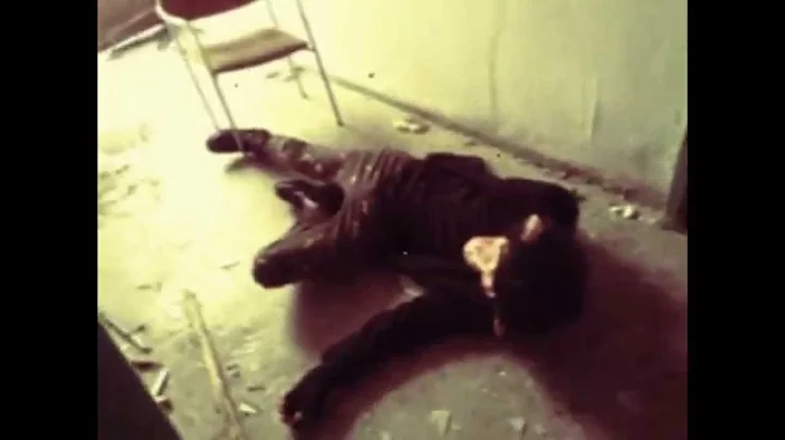 Apeman - It's a Banana (OFFICIAL VIDEO)