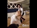 خناقه بين العريس والعروسه خناقه بين العريس والعروسه