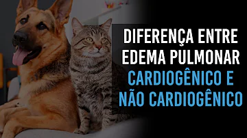Quais são as doenças genéticas ou hereditárias mais comuns da população negra?
