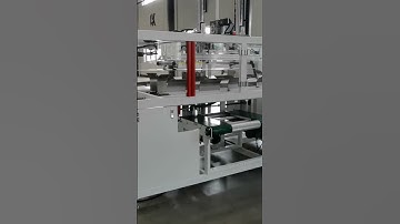Box folding machine #papertray #boxfoldingmachine #huge #trayformermachine #tray #machinery #packer