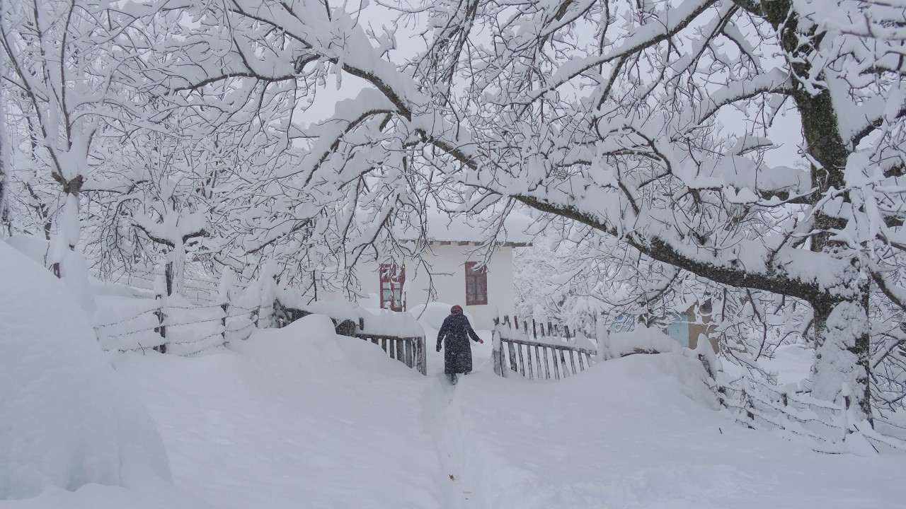 Вдали от цивилизации, на краю света: трудная, но мирная жизнь женщины.