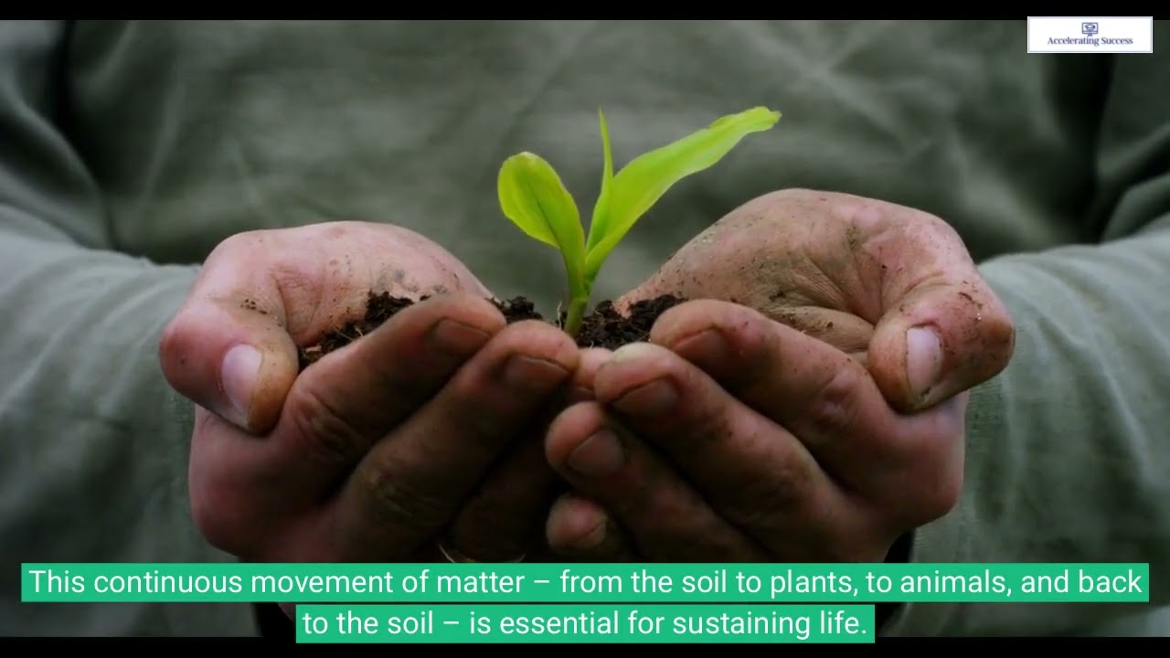 Cycling of Matter in Ecosystems 🌍🍃