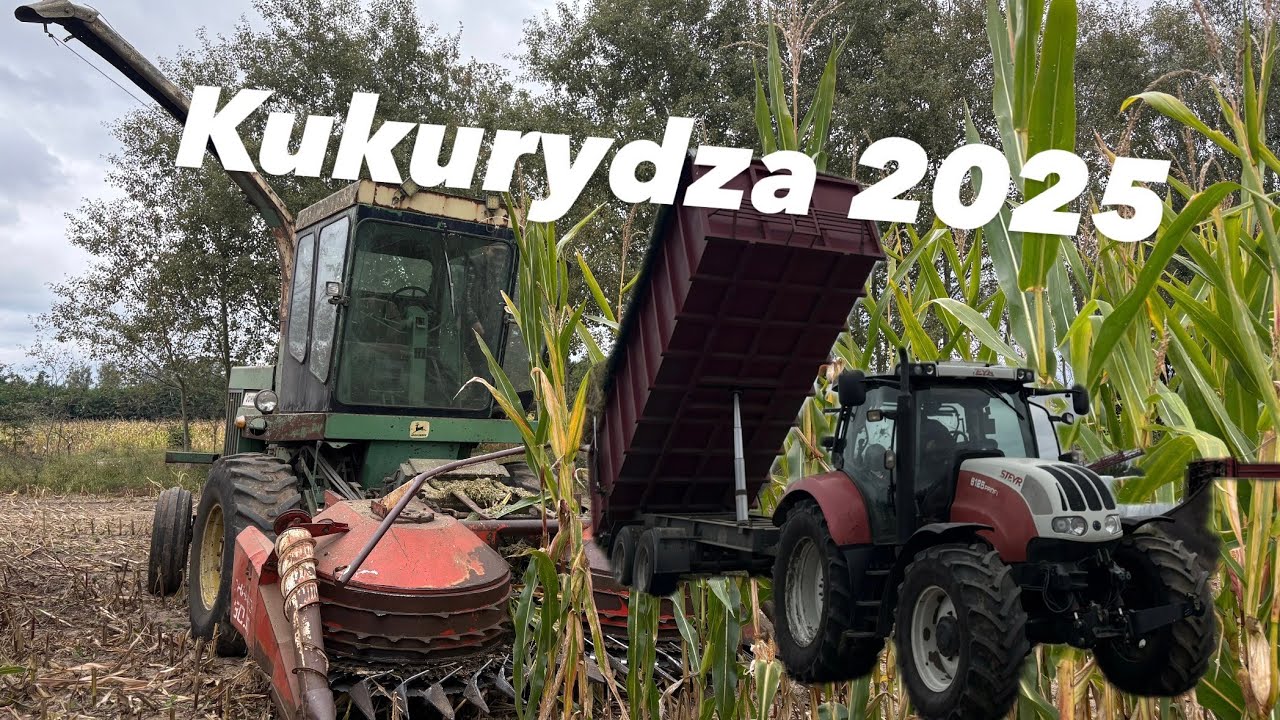 Akcja kukurydza 2025 | John Deere 5400 |Steyr 6125 |Merlo 