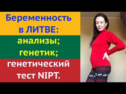 БЕРЕМЕННОСТЬ в ЛИТВЕ: анализы. Генетический тест NIPT: подготовка, эффективность. Визит к генетику