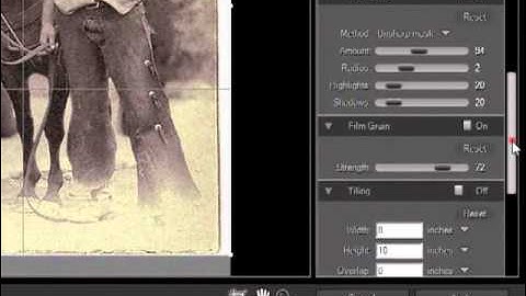 Image Enlargements - I: onOne Software