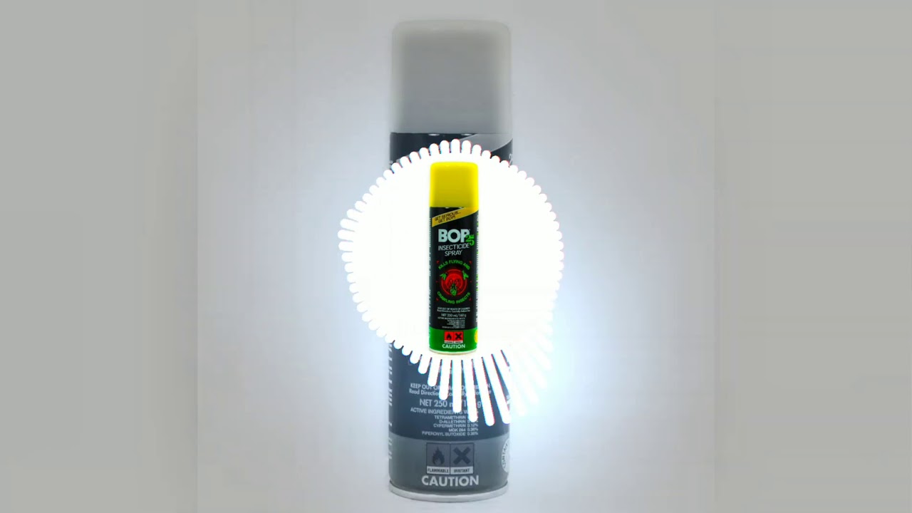 Yvng Hvnch0 - Bop (Official Audio) Grenada 2019 Soca