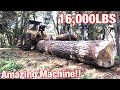 Skidding logs with CAT SKIDDER