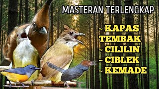 Download lagu AUDIO JERNIH MASTERAN BURUNG PALING DI TAKUTI LAWAN UNTUK MURAI LOMBA