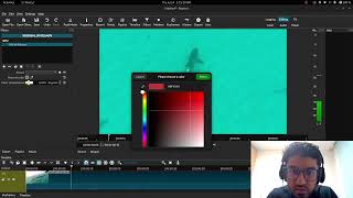 Color Correct Scuba / Snorkel Footage in Shotcut