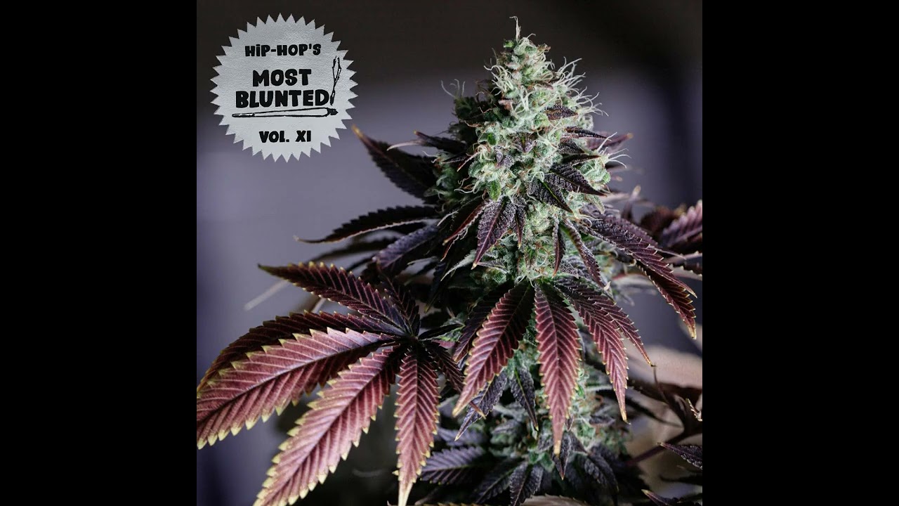 18 Dr  Oop ft  Rogue Venom   Green Butter