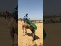 م غ ام ر ة ج ر يئ ة ف ت اة ت ل اع ب غ ض ب ال ج م ل ب ي ن ال ق ف ز و ال خ ط ر