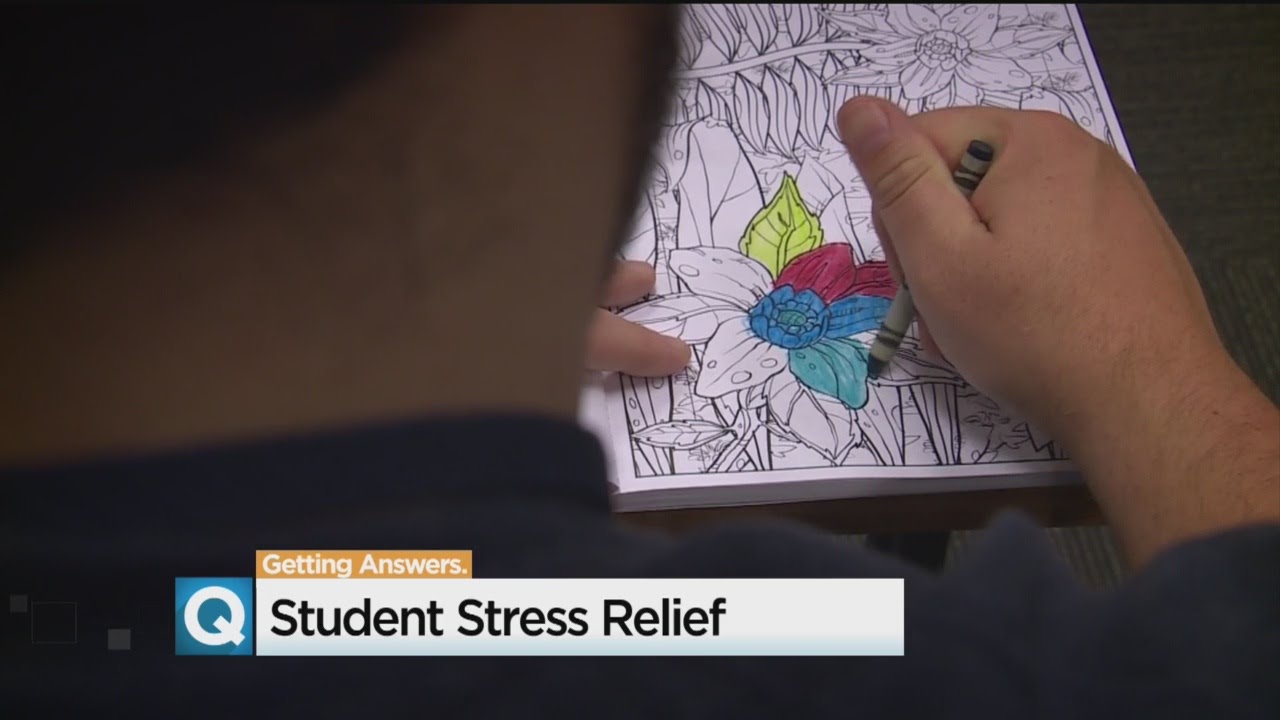 Puppies And Coloring Books For College Finals Raise Concerns