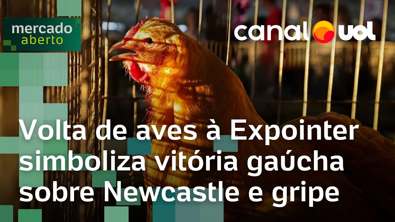 Volta de aves à Expointer simboliza vitória gaúcha sobre Newcastle e gripe