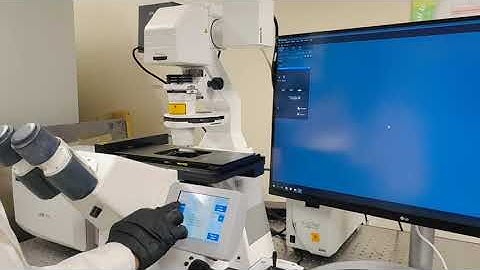 Zeiss LSM 700 Confocal microscope Setup and Initialisation