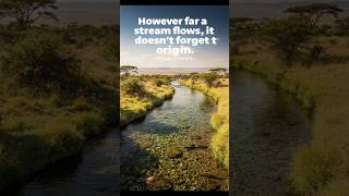 "However far a stream flows, it doesn’t forget its origin."