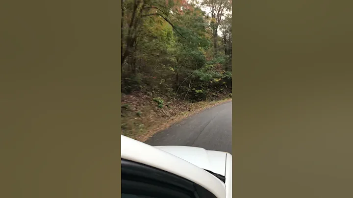 Drive from Shagbark Gate to Our Home