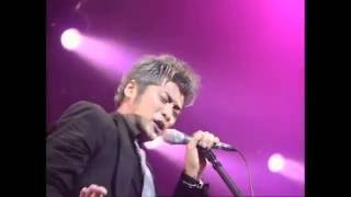 にくまれそうなNEWフェイス