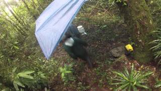 Raincamp Setup Kitchen