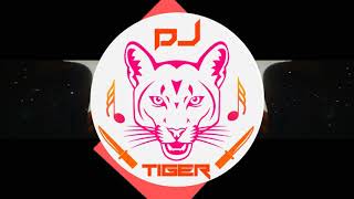 SAPNE ME MILTI HAI - 2019 REMIX - DJ IMRAN SOLAPUR | DJ TIGER