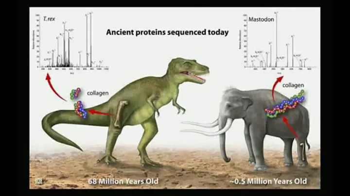 Debates: Lets Test Them  Evolution vs  Creationism