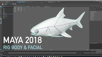 Advanced Skeleton Setup Maya 2018 Tutorial -Fish Rig Body and face