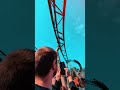 Wie gefällt euch die neue Achterbahn 100% Wolf aus dem Plopsaland Deutschland?🎢🐺 #freizeitpark #fr