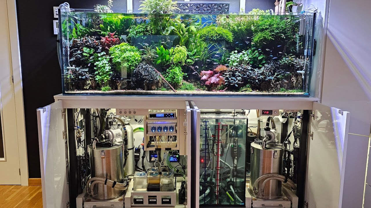 ACUARIO PLANTADO 540 LITROS y FULL EQUIP | By Pablo