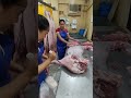 How I cut Pata Hind Leg @monterey #pork #ladybutcher #butcher #lifeofshare