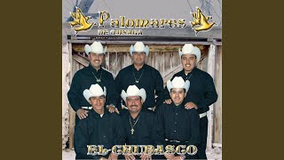 Nadie Sabe Lo Que Tiene - Palomares de Ojinaga