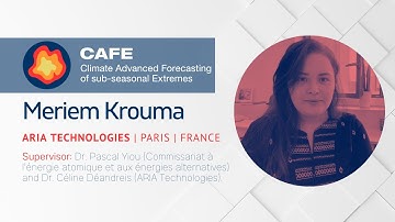 Ensemble weather predictability with stochastic weather generator based on analogues of circulation