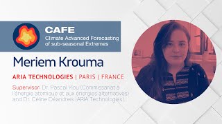Ensemble weather predictability with stochastic weather generator based on analogues of circulation