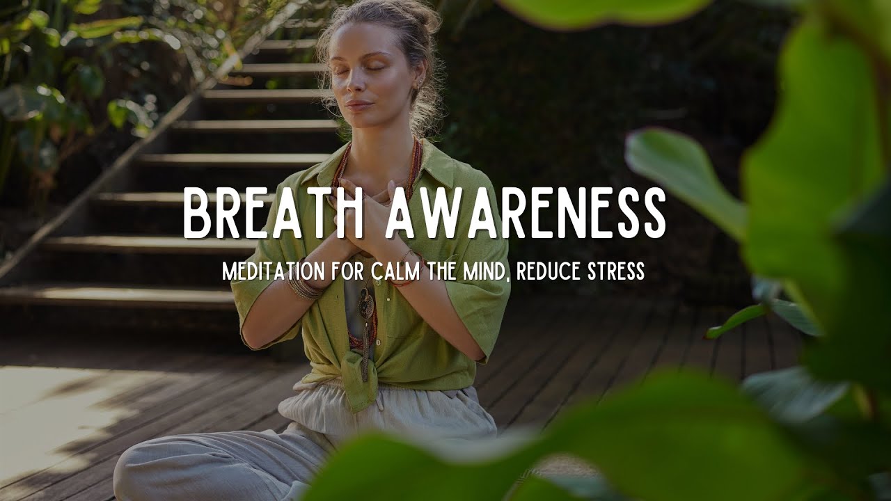 1. Learn How To Meditate - BREATH AWARENESS MEDITATION (ANAPANASATI)